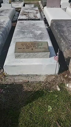 he found wreckage of a ufo crash in roswell new Mexico #roswell #ufo #aliens #ufosightings #ufocrash #ufocrashes #fyp #greysanatomy