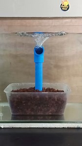 157K views · 2K reactions | Diy semi undergravel setup #diy #diyprojects #semiundergravel #aquarium #ideas #guppynest | Guppy'Nest | Facebook