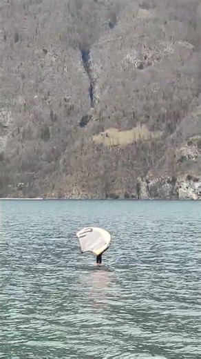 Лови волну Ухвати талас Schnapp dir die Welle Cattura l'onda #lake#switzerland