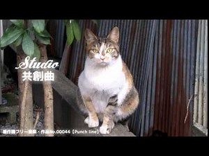 著作権フリー音楽・作品No.00044【Punch line】