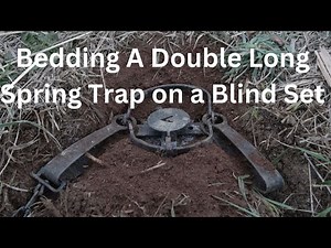 Bedding a Double Long Spring Trap On A Blind Set
