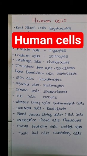 Human Cell