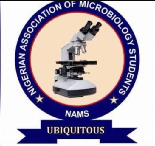 Final Year Student Struggles in Microbiology