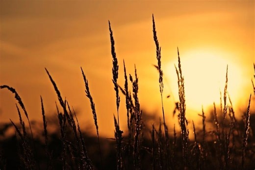 What does it mean to be blessed?