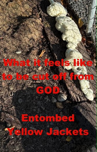 Cut Off & Entombed (2) #spiritualgrowth #shorts