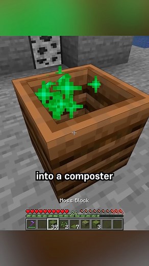 infinite bonemeal #minecraftpe #minecraft #minecraftmemes #minecraftbuilds #minecraftmods | Game Of Minecraft