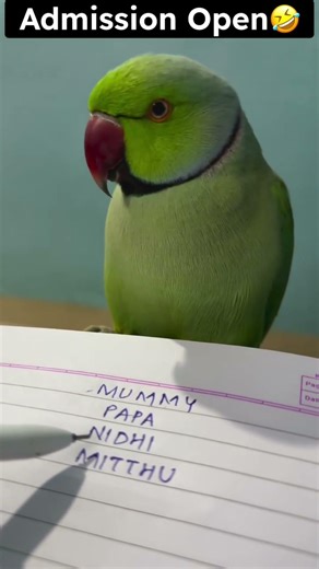 Admission open .... PARROTS INSTITUTE OF EDUCATION