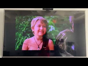 Opening To The Lion King 2003 DVD