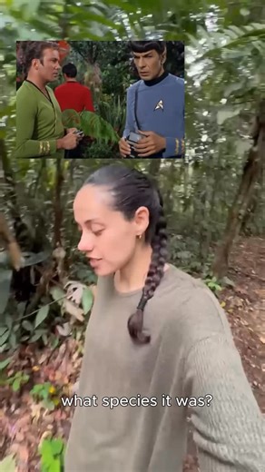 Erin Rivera on Instagram: "DNA Barcoding 🧬 (Español en comentarios 💬) If you’ve never heard of it before, it might sound like something straight out of a sci-fi movie, and for good reasons. But once you look closer, it’s not so crazy after all. Let me explain: Here’s something we all know: every species on Earth carries a unique genetic code (its DNA). So far, so good. But here’s where it gets tricky: until recently, identifying species depended mostly on visible traits like shap