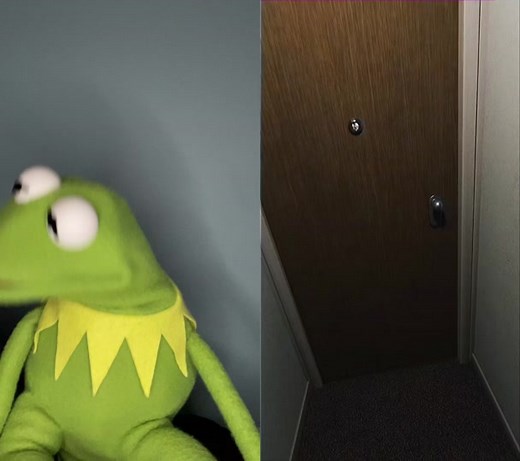 Kermit the Frog Room Service Scare | Funny Meme Compilation