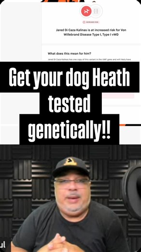 Be a responsible breeder and genetically know the health of your dog internally. Order your kits at @embarkvet | European Doberman Stud | Facebook