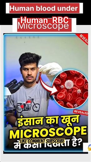 Human blood in Microscope #science #microscope #shorts #biology #youtube mymicrolab