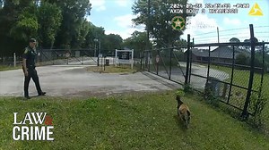 Goats Lead Florida Deputies on 'Wild' Adventure | Law&Crime