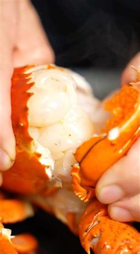 ASMR eating lobster 🦞 #shorts