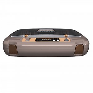 [Hot Item] Hhd Incubator Automatic Mini 50 Eggs Incubator for Chicken Eggs