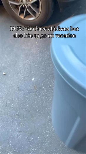 14K views · 22K reactions | Turning a garbage can into a chicken...