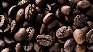 3.8K views · 72 reactions |  The Aiken FFA Chapter in Cincinnati,...