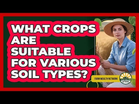 What Crops Are Suitable For Various Soil Types?
