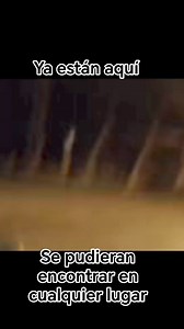 Son tantos los enigmas en relación a todo esto que solo podríamos decir y ya están aquí si se pudieron encontrar en cualquier parte realidad o fantasía pero es algo que pudiera estar en un mundo alterno en el propio planeta Tierra increíble. | Isaac Garcia