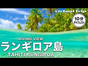 【ダイビングビュー】圧倒的透明度を誇る南国の海中 / タヒチ / Tahiti /ランギロア島 / Rungiroa / virtual trip