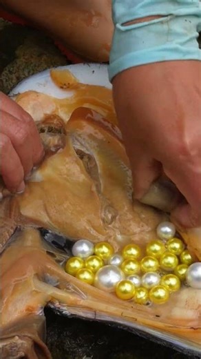 Girl's River Exploration Unveils Mutated Mussel Overflowing with Pearls