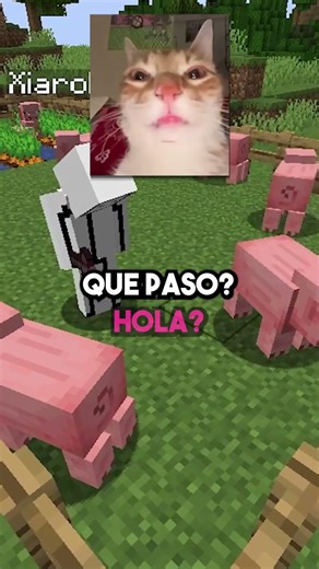XIARO NO SOY UN CERDO 🐷✖️ #minecraft #laos