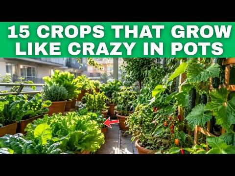 15 Vegetables That Explode With Harvests In Containers All Season Long