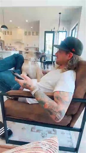 209K views · 7.3K reactions | The head bonk of love!凉 #Dogs #FrenchBulldog #Frenchies #Cute | The Pet Collective | Facebook