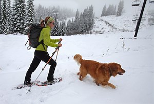 Heavy snow warning as 12 inches to hit – 'Prepare for power outages'