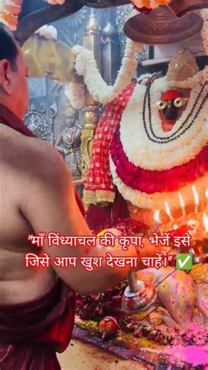 जय माँ विंध्याचल! आशीर्वाद और भक्ति का अद्भुत अनुभव।🚩🙏 #navratrispecial #trendingshorts #viralshorts