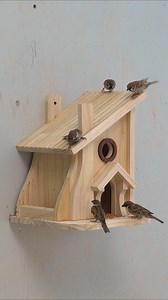 Awesome Tips and Hacks For Birdhouse Design #bird #hacks #jig #tips #birdhouse #birdfeeder #brids | Woodworking TV