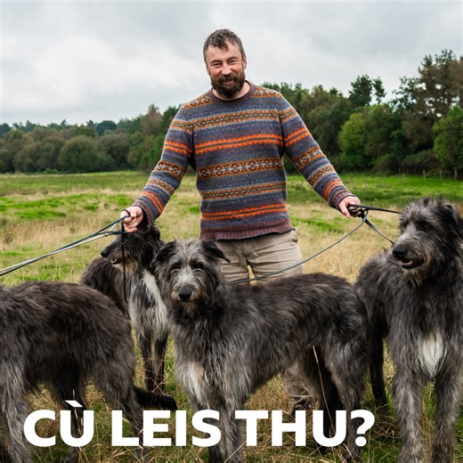 Gentle giants ann an saoghal nan coin 🐶🐾 Cù Leis Thu? Air BBC ALBA & iPlayer an-dràst' 📺 | BBC ALBA