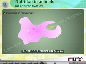 Modes of nutrition in Amoeba - Life Processes Video Lecture - Class 10