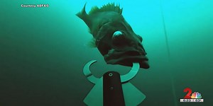 Fishing Report: Deepwater release of rockfish