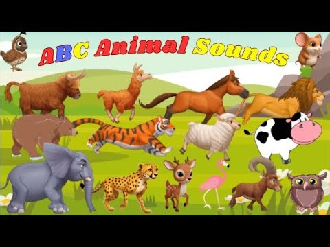 ABC Animal Sounds | Alphabet Animals Song for Kids N29TH11 | Animal Sounds