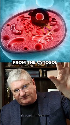 Your Mitochondria Can't Burn Fat Without This One Thing