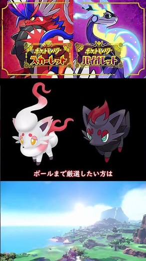 DLC特典のゾロアークでオシャボ入り色違いヒスイゾロアの厳選方法をご紹介✨ #ポケモン #ポケモンsv #ゼロの秘宝