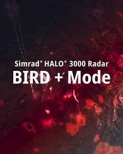 SIMRAD HALO 3000 RADAR 🦅BIRD MODE • We have some great videos coming your way all about our award winning HALO 2000/3000 Radars. In this quick tip video we show you how “Bird Mode” can put you on the fish more efficiently and accurately… • VIDEO 1/9 • #simrad #teamsimrad #radarlove #marineelectronics #boatinglife #fishing #offshorefishing #fishon #fishfinders #yachtlife #simradHALO3000 | Simrad Yachting