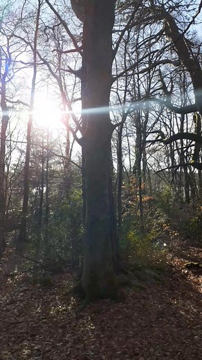 Origen Solar. | Kaorsi Maximo