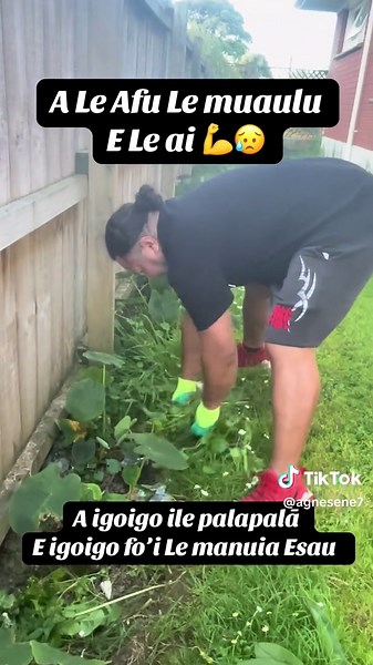 Exploring Samoan TikTok Trends and Conversations