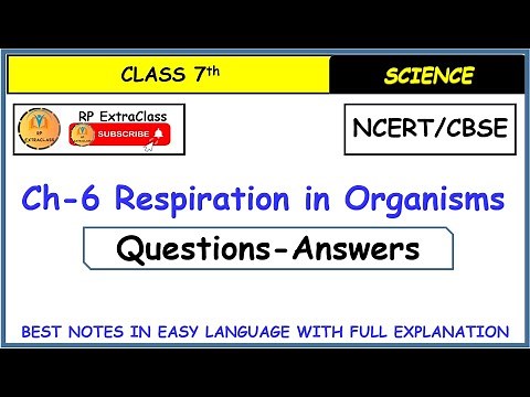 Class 7 Science Chapter 6: Respiration in organisms Questions-Answers