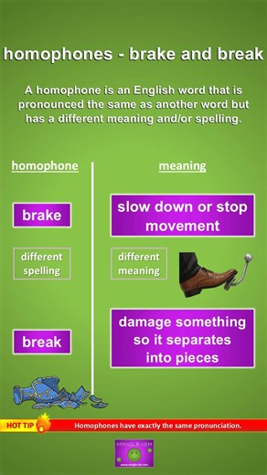 Brake vs Break: Master Homophones with Clear Examples 1