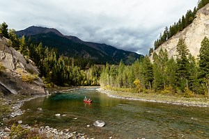 British Columbia's Elk River Bull Trout - Fly Fisherman