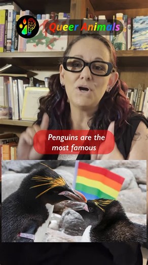 Comparative Cog and Comm Lab on Instagram: "🐧 Penguins: possibly the most famous queer animals—and definitely the best dressed. 🌈✨ This is Queer Animals, a series where we talk about how animals are naturally queer. From Roy and Silo, the iconic gay penguin dads in New York, to same-sex penguin pairs in the wild performing mating displays 💃—queerness in penguins is real, natural, and oh so adorable. Some are very eager to become parents... and go so far as to steal eggs from male-female coupl
