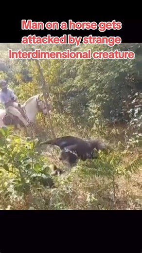 1.7M views · 10K reactions | #creatures #monster #mysterious #interdimensional #cryptozoology #ngntd #reels #trending | Troodraco | Facebook