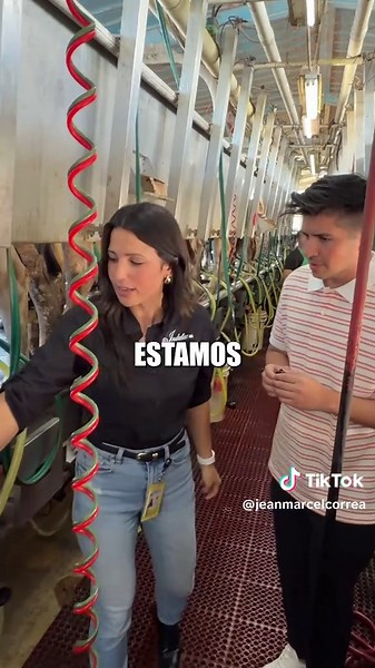 Indulac: El Proceso Millonario de la Leche UHT