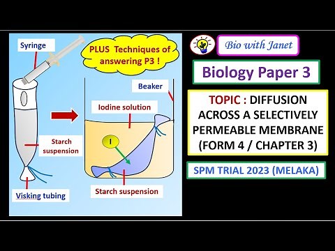 BIOLOGY PAPER 3 QUESTION : DIFFUSION THROUGH VISKING TUBING + ANSWERING TECHNIQUES #SPM #igcse