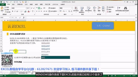 EXCEL2013函数从入门到进阶教程（精讲 完整版）软件介绍
