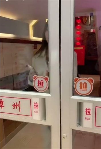 Tóc xinh 2 phút trước khi ra ngoài 🎀两分钟可爱发型 🎀#Hairstyle #可爱发型 #BeautyTips