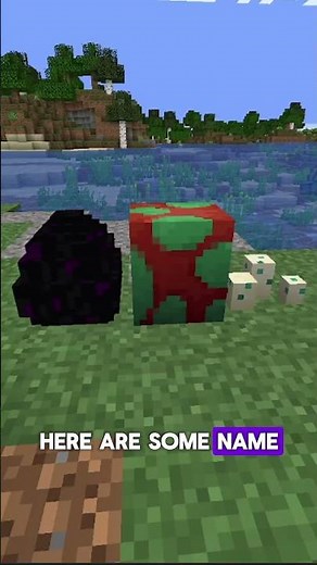 MINECRAFT NAME TAG SECRETS EXPLAINED🏷️📛